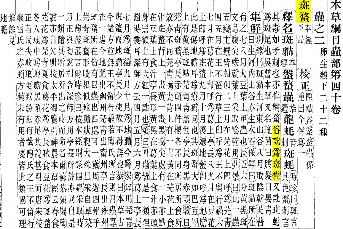 a4.jpg