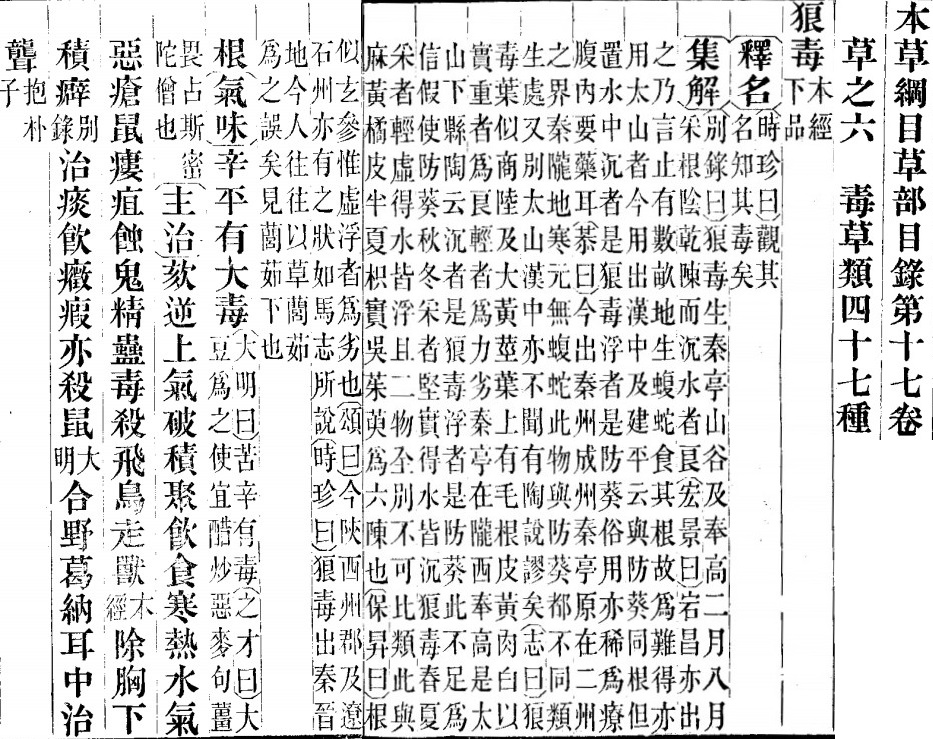 2025-10-18_164733.jpg