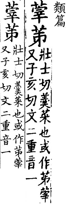 2025-10-19_185631.jpg