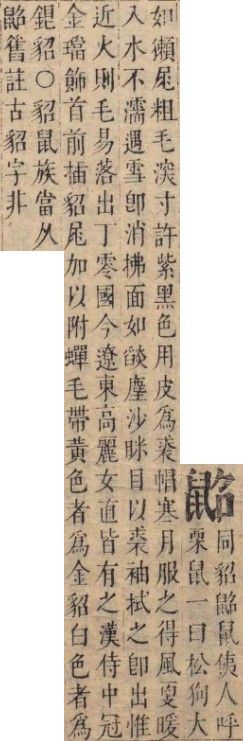 2026-08-30_111956.jpg