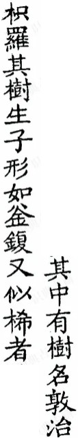 2026-09-10_193359.jpg