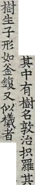 2026-09-10_193236.jpg